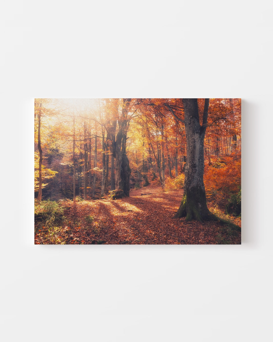 stretched-canvas