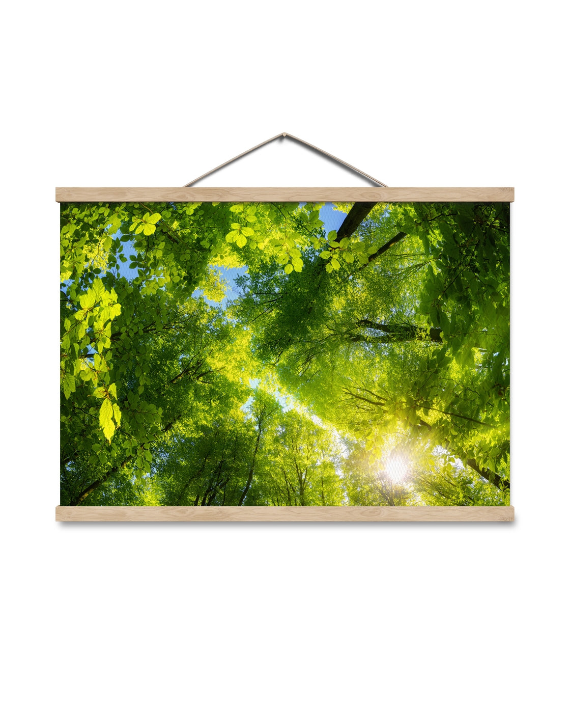canvas