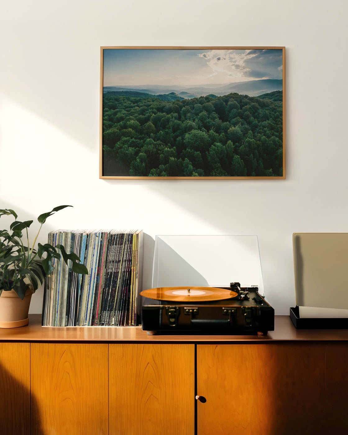 canvas