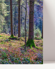After Hover: Forest