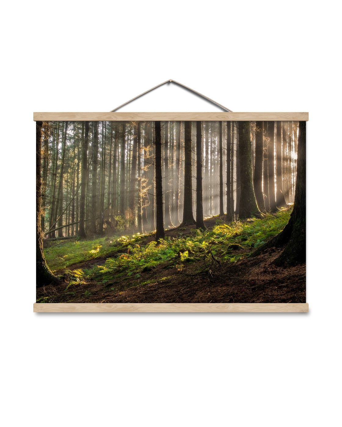 canvas