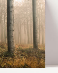 After Hover: Forest