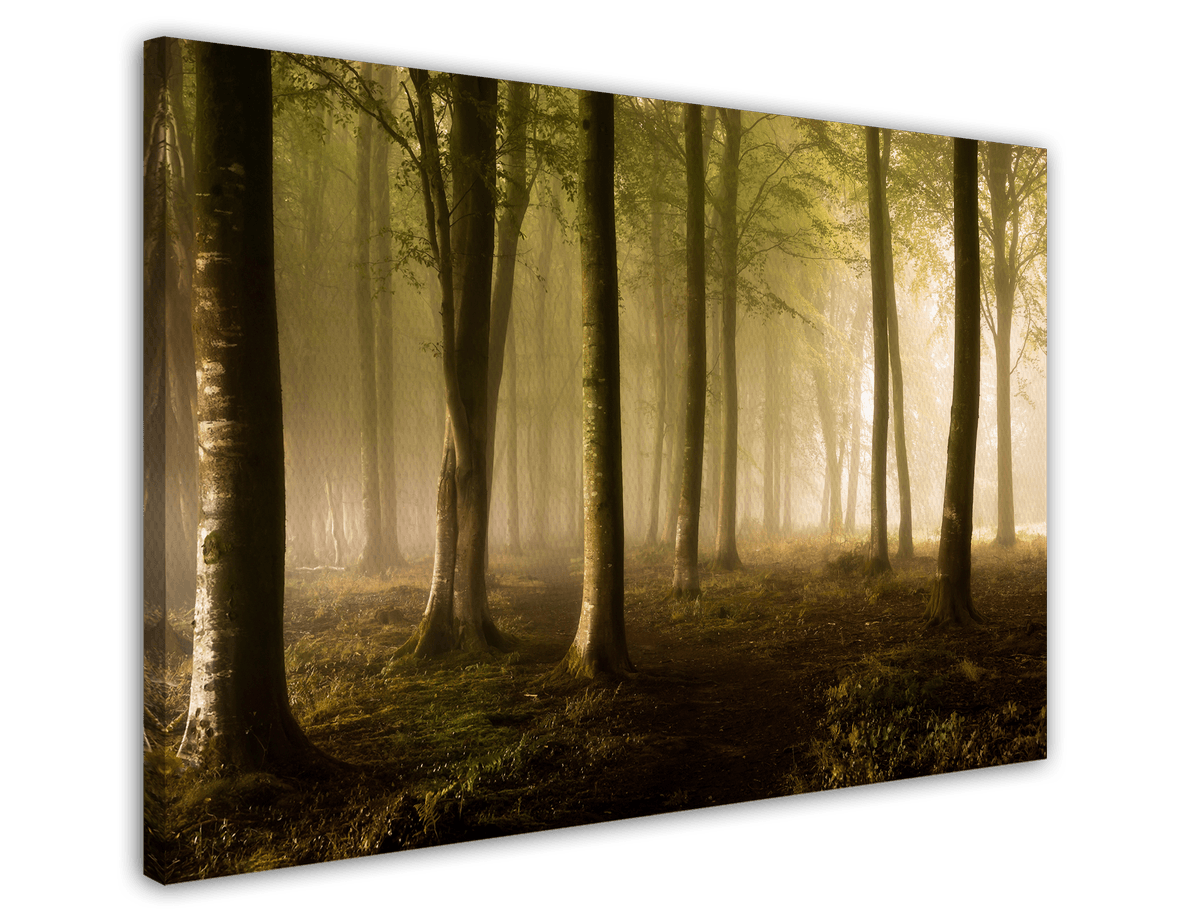 stretched-canvas