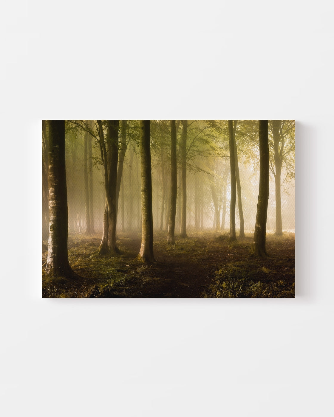 stretched-canvas