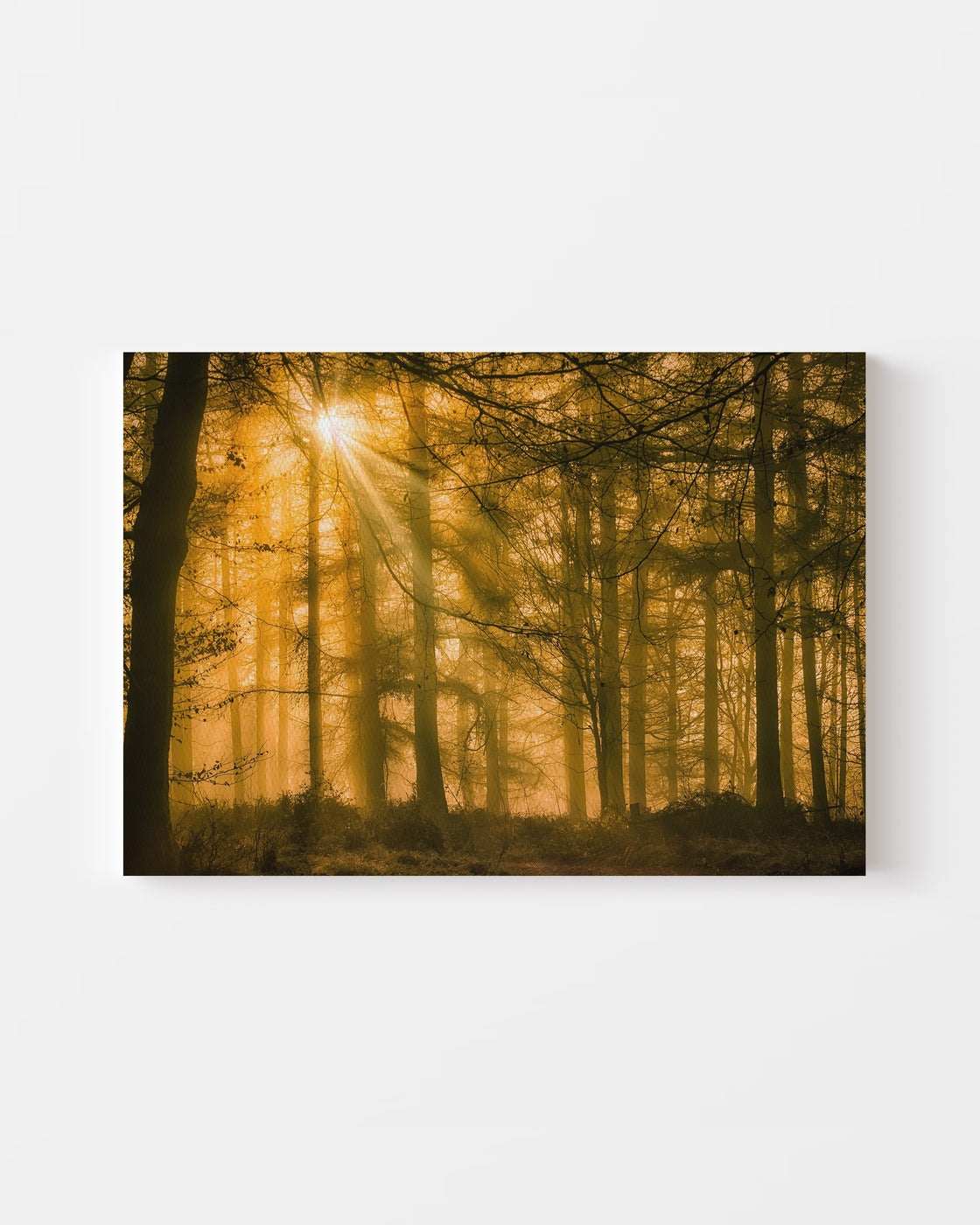 stretched-canvas