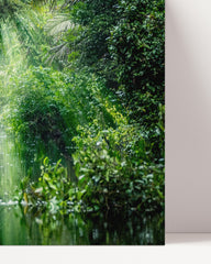After Hover: Lake in the forest