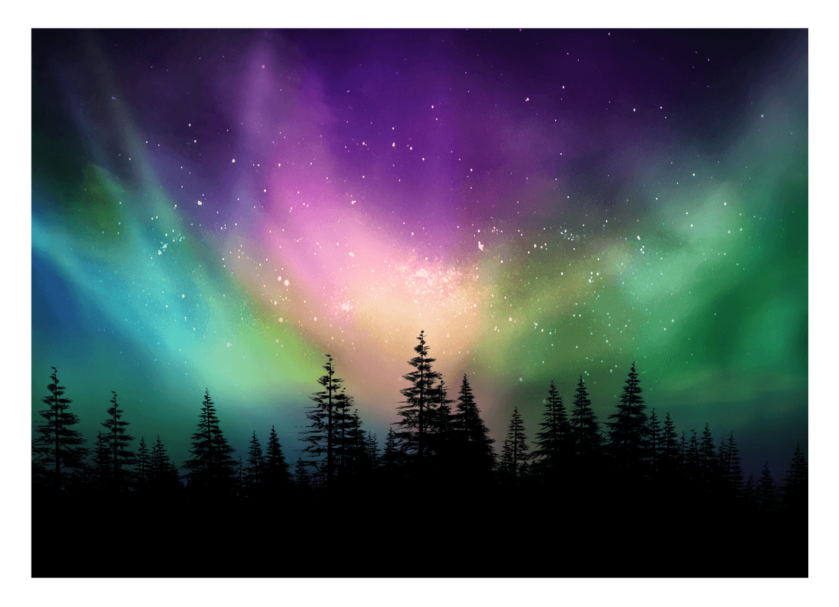 Polarlichter über Waldkronen