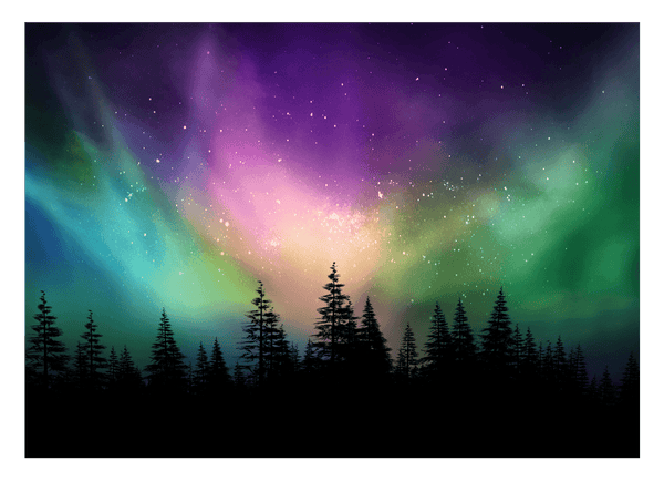 Polarlichter über Waldkronen