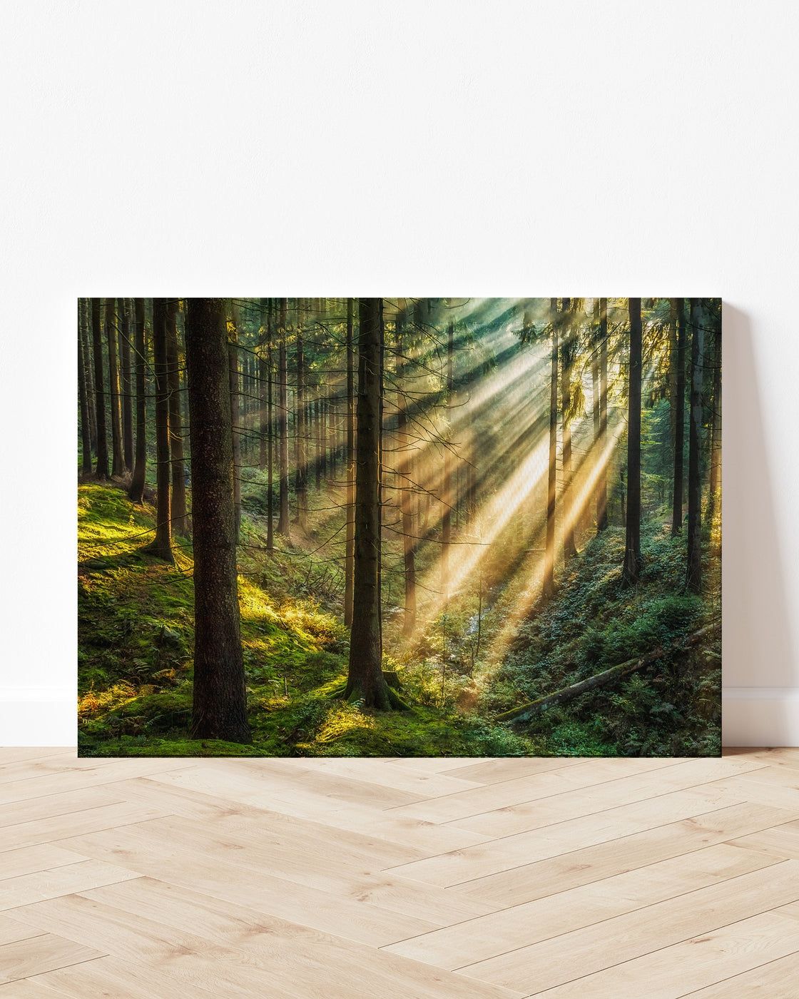stretched-canvas