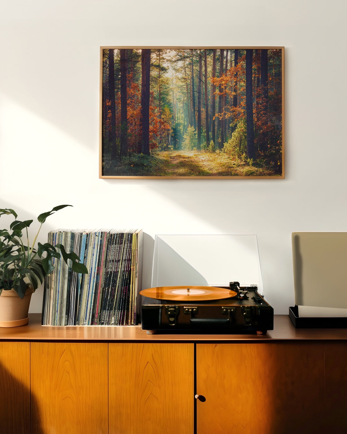 canvas