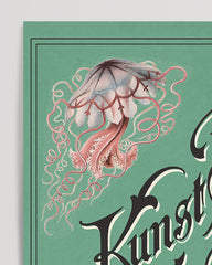 After Hover: Ernst Haeckel - Art Forms in Nature