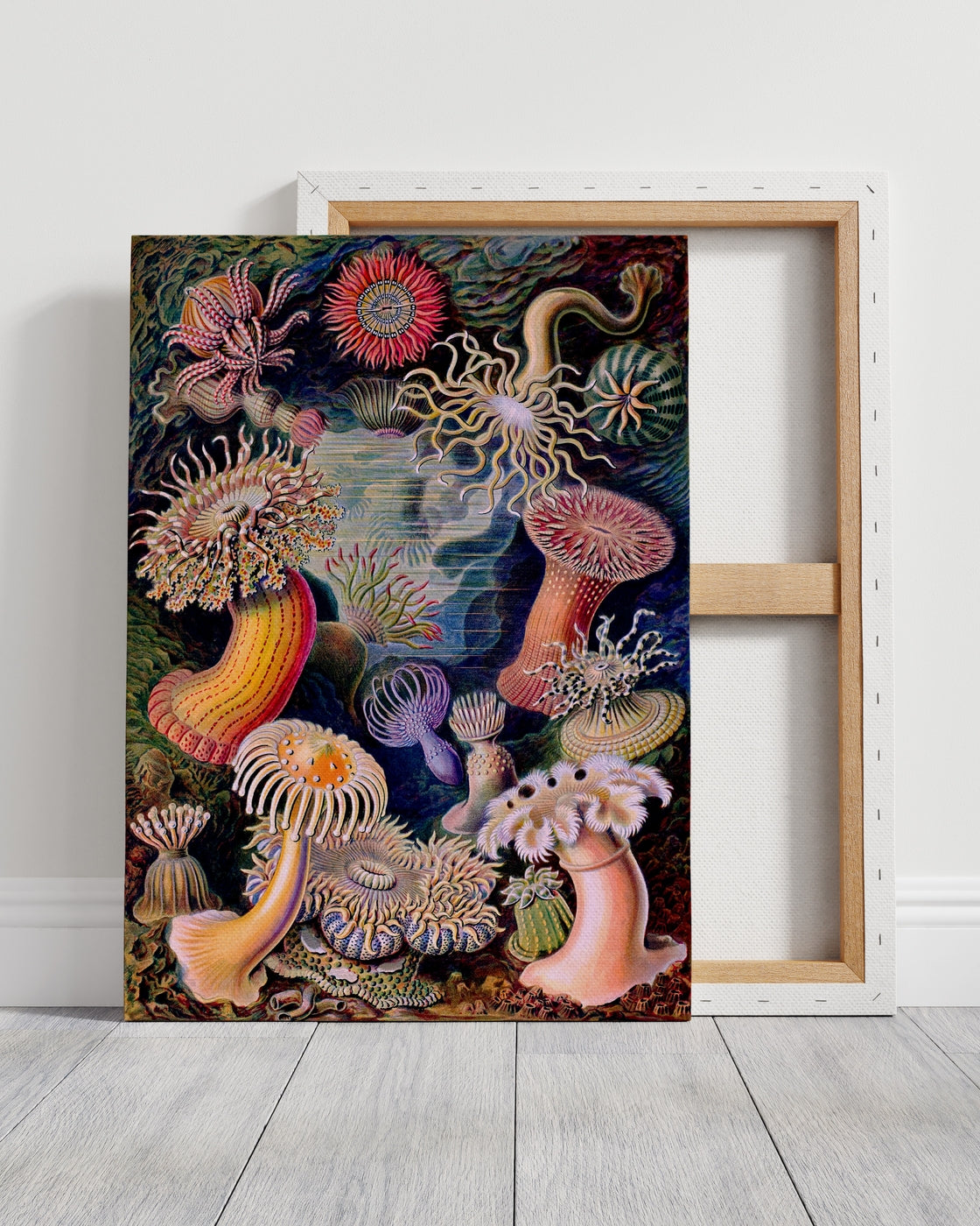 stretched-canvas