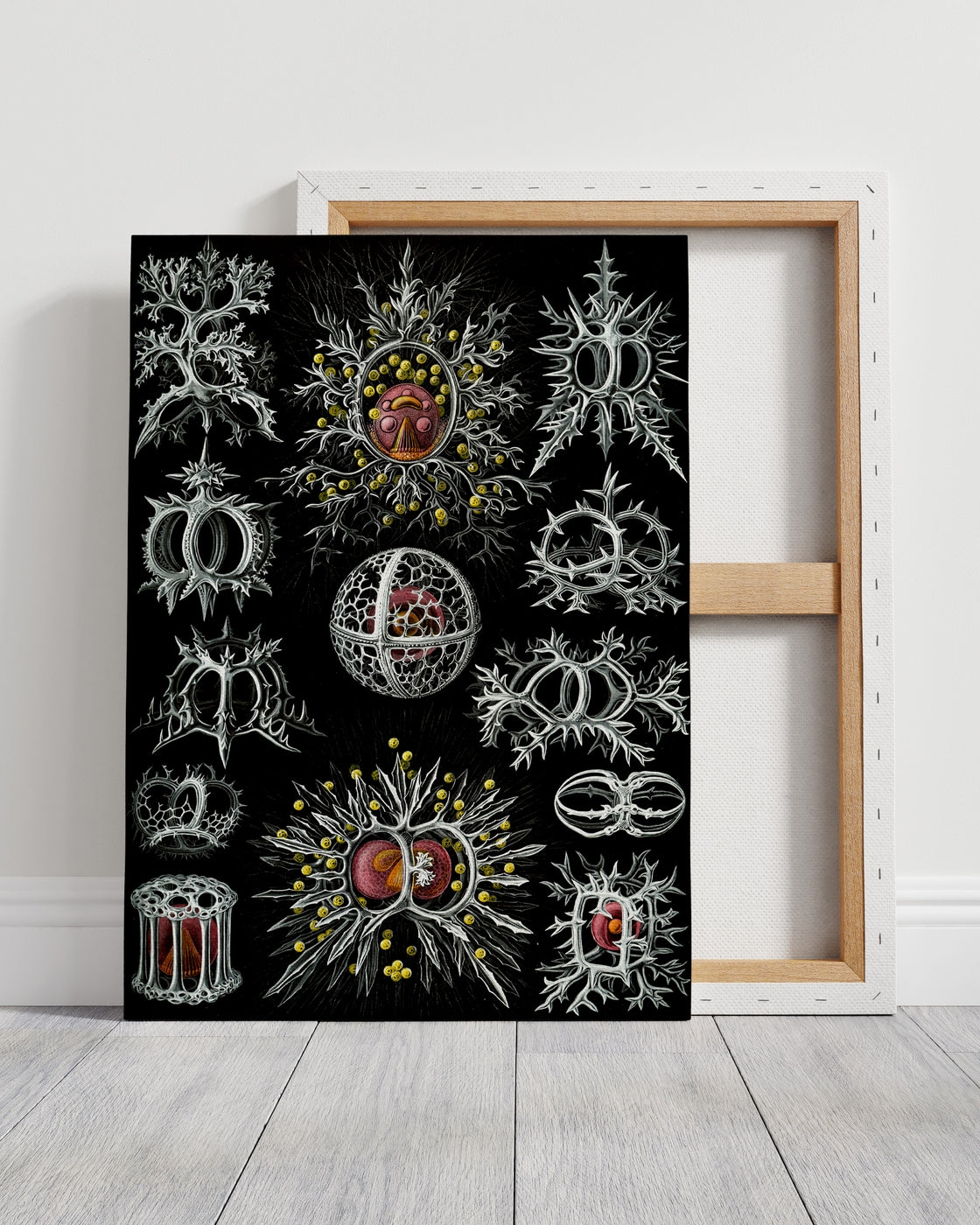stretched-canvas