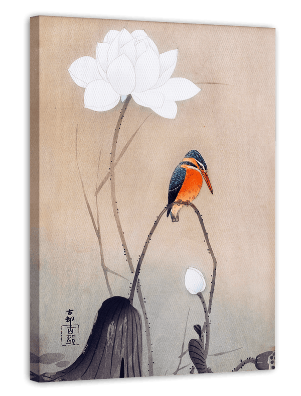 Ohara Koson - Eisvogel neben weißer Blüte