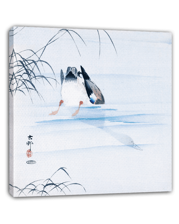 Ohara Koson - Tauchende Ente