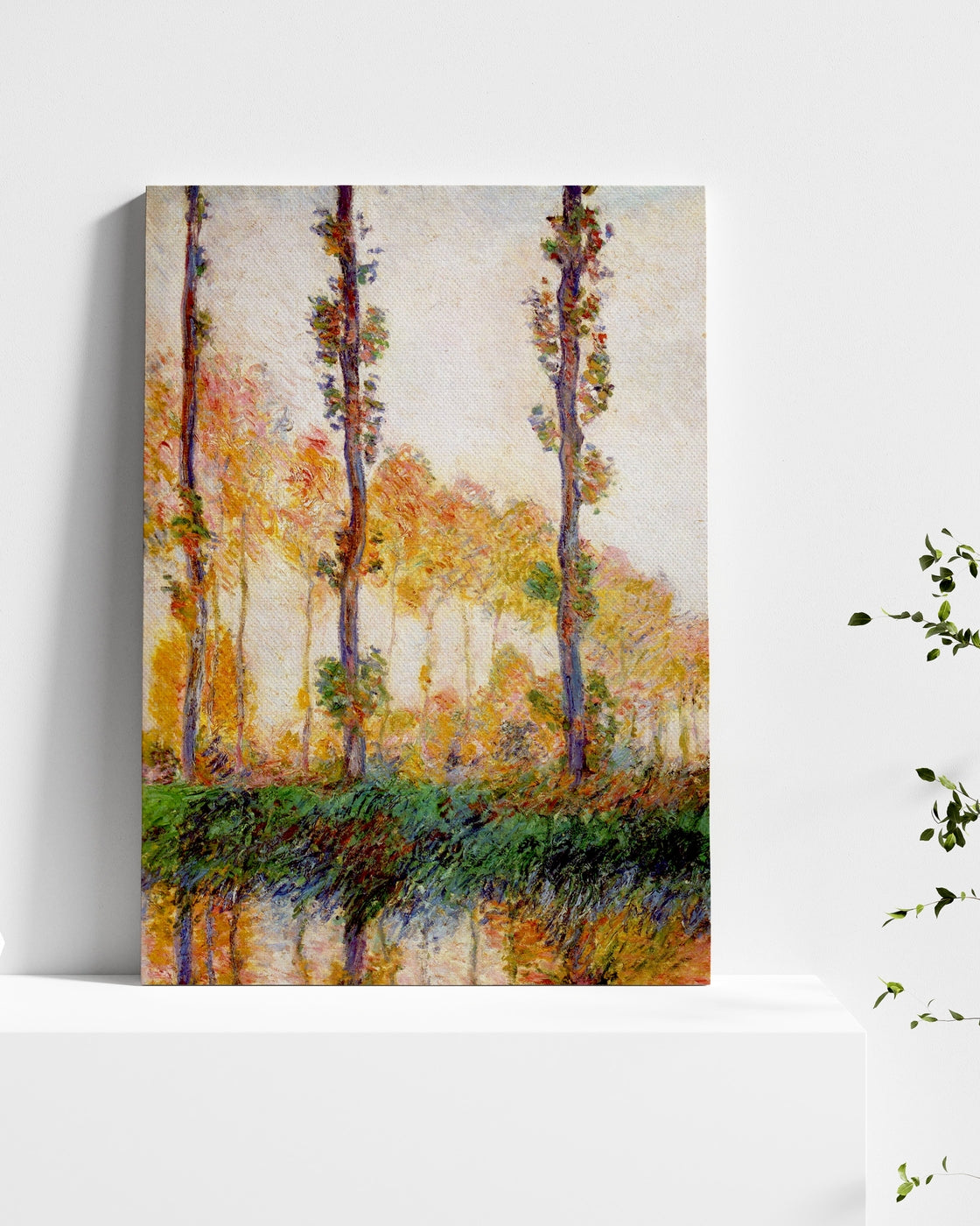 stretched-canvas