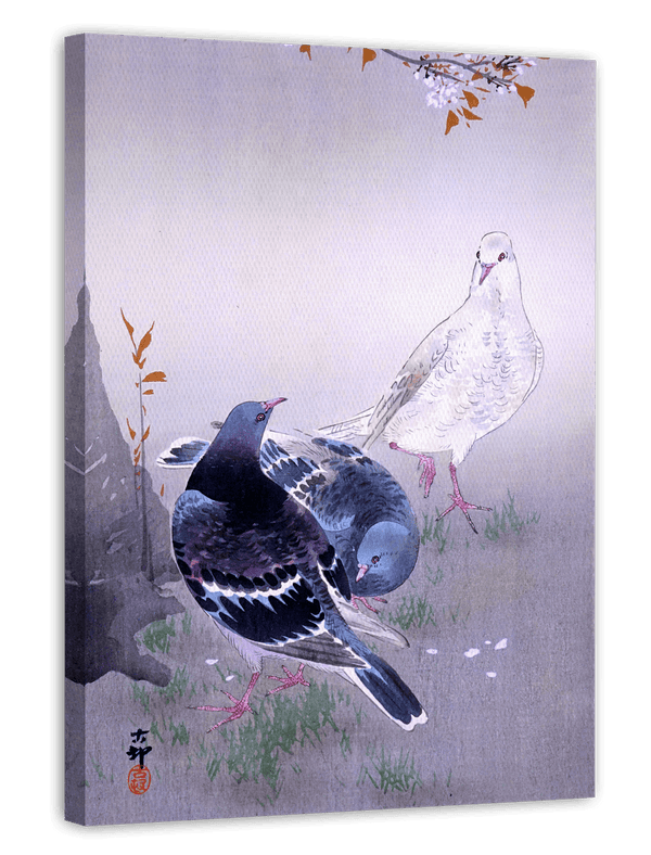 Ohara Koson - Tauben am Kirschblütenbaum