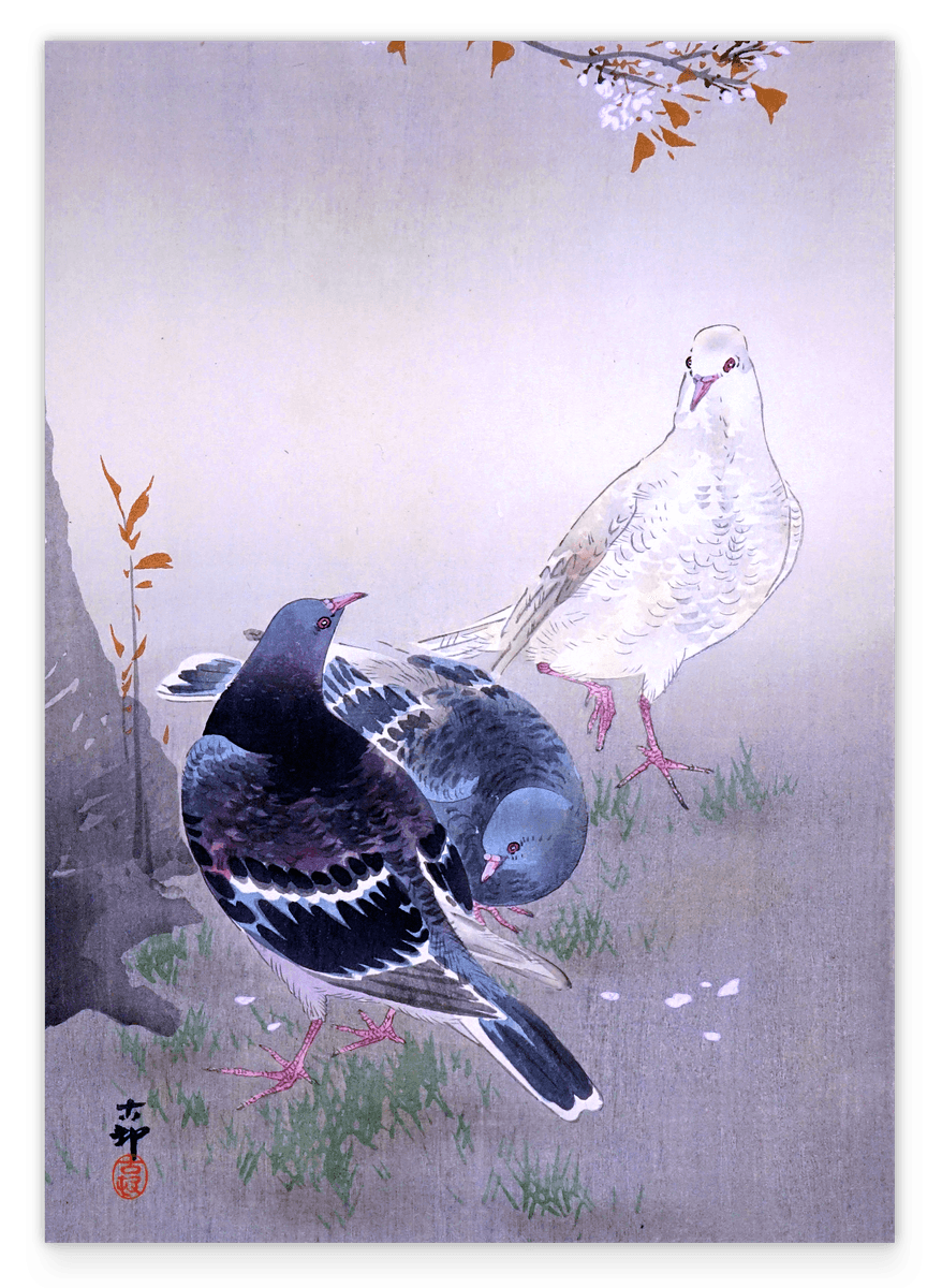 Ohara Koson - Tauben am Kirschblütenbaum