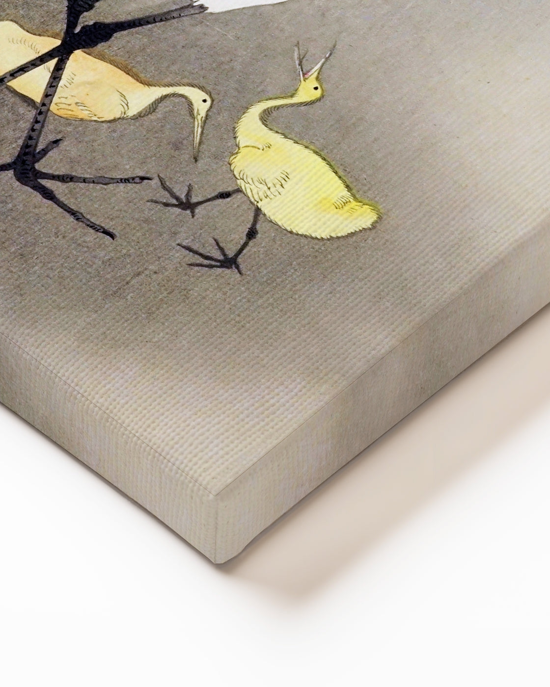 stretched-canvas