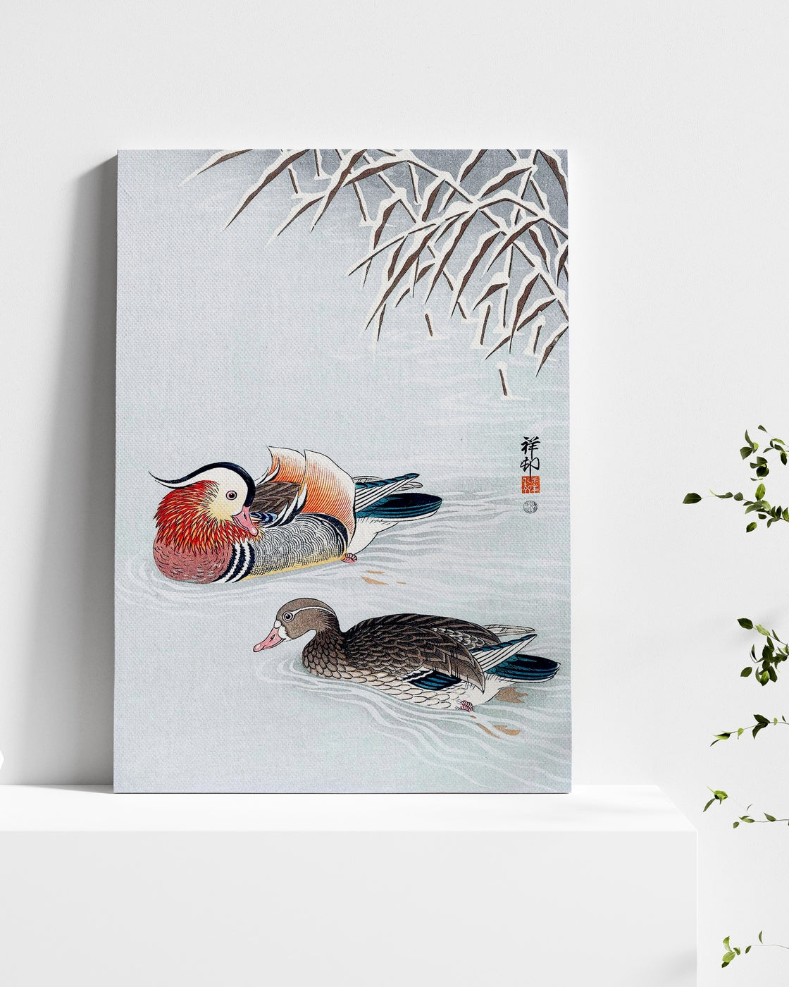 stretched-canvas