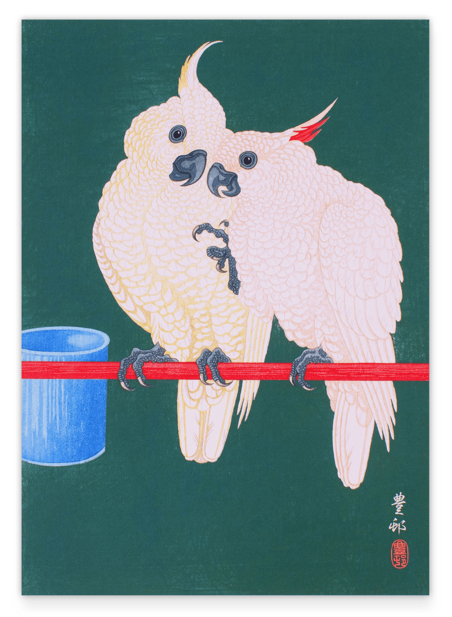 Ohara Koson - Zwei Kakadus
