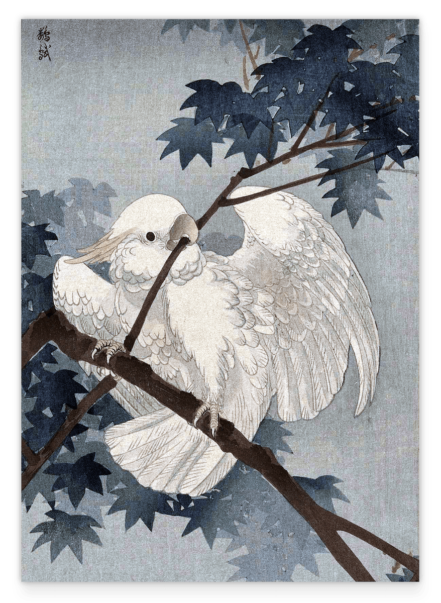 Ohara Koson - Kakadu auf Ast