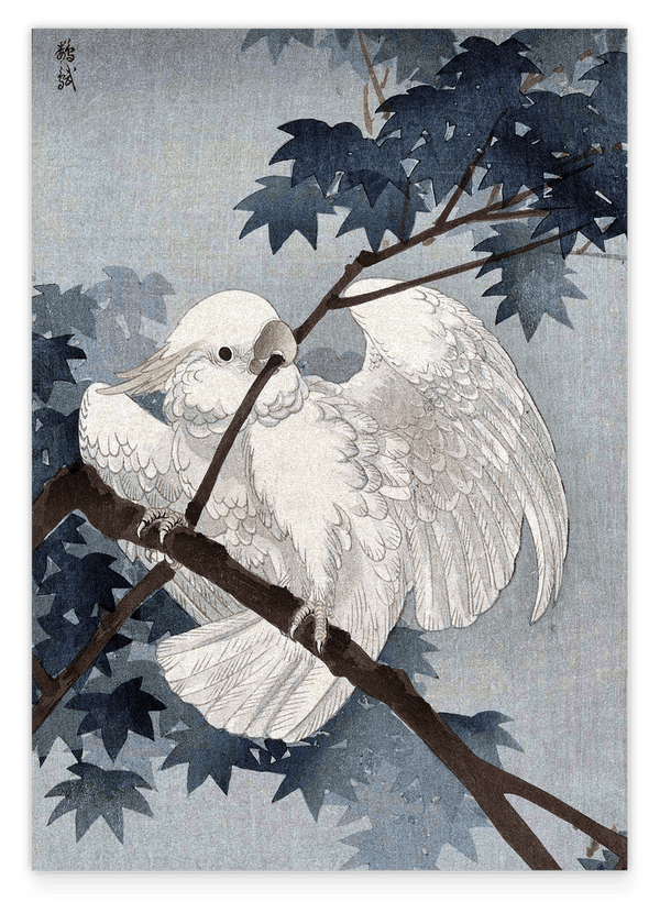 Ohara Koson - Kakadu auf Ast