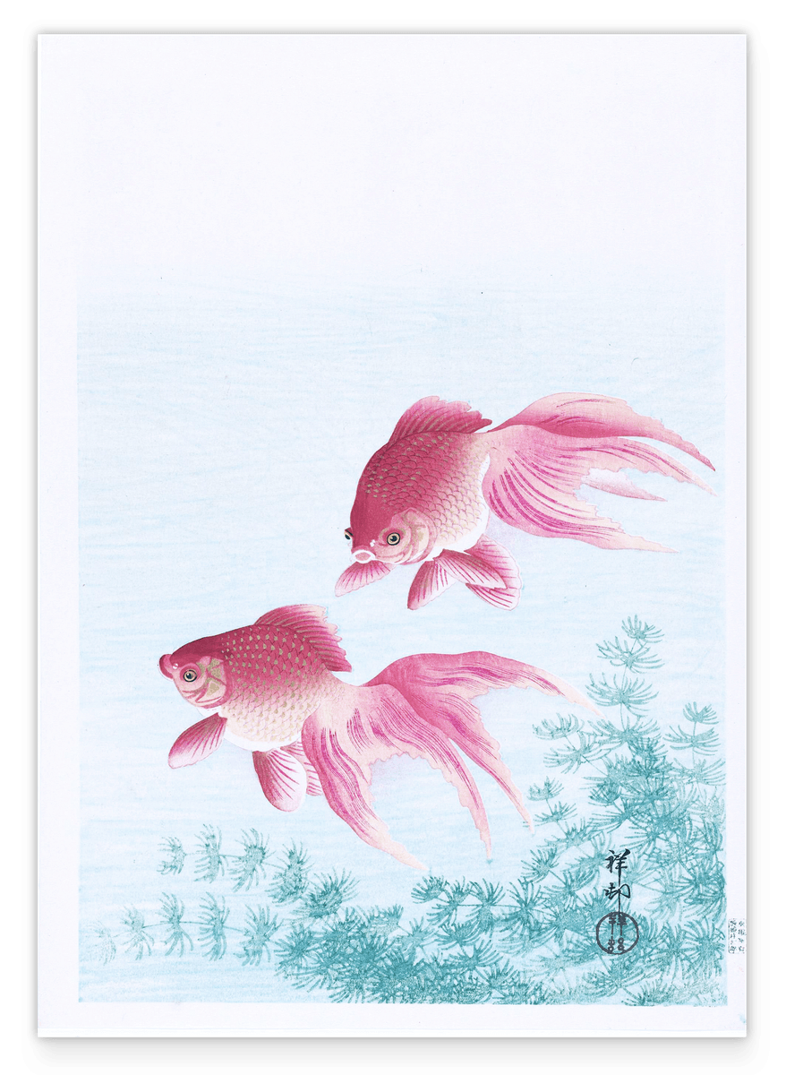 Ohara Koson - Rosa Fische