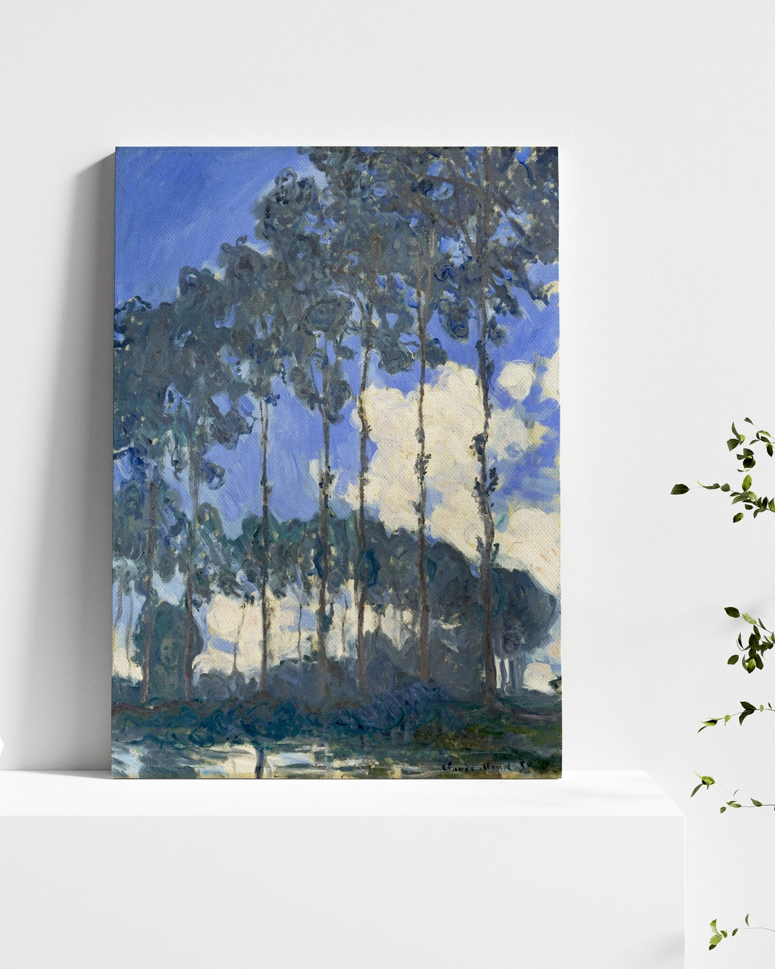 stretched-canvas
