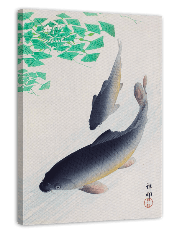 Ohara Koson - Zwei Koi Karpfen