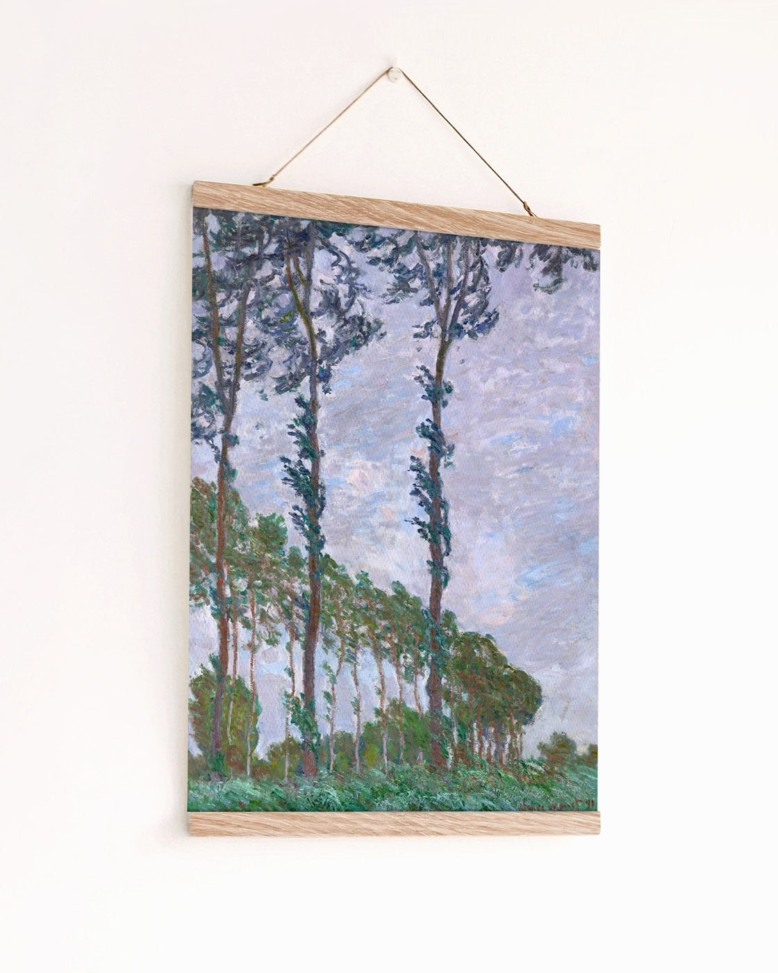 canvas