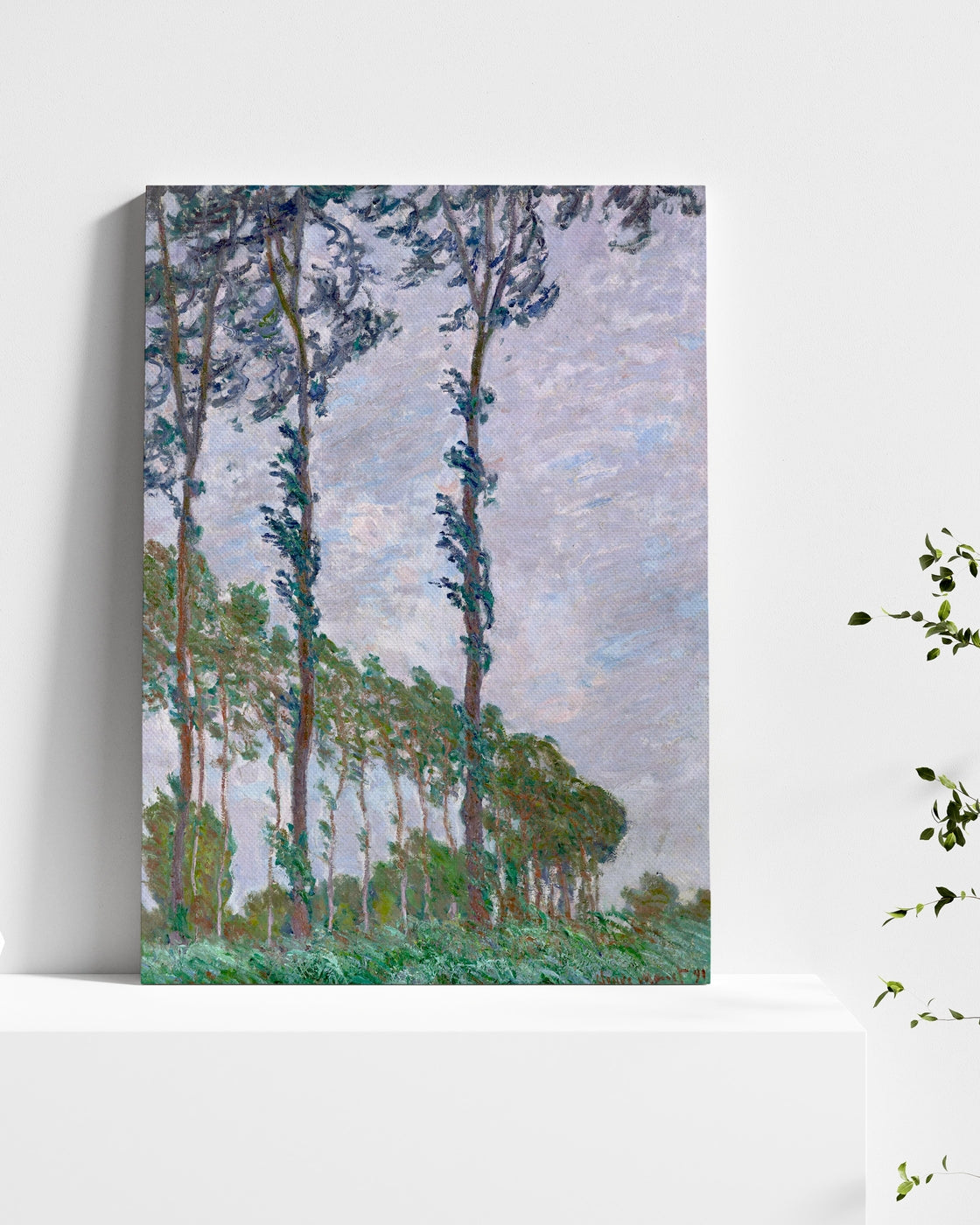 stretched-canvas