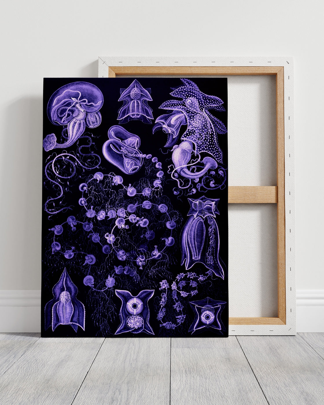 stretched-canvas