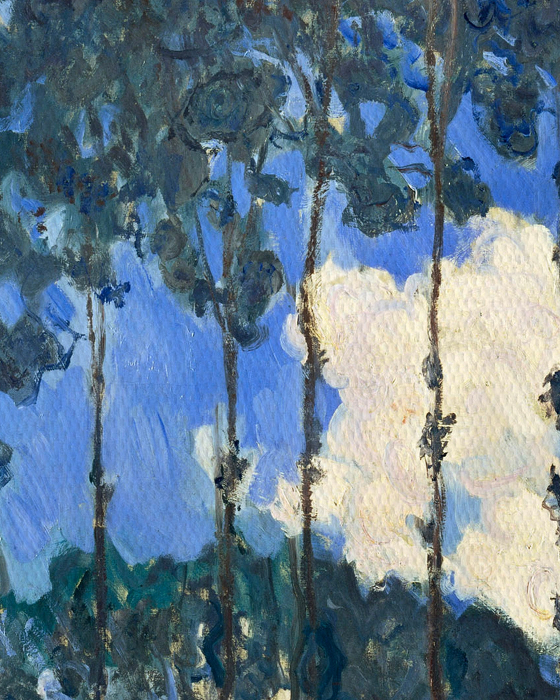 canvas