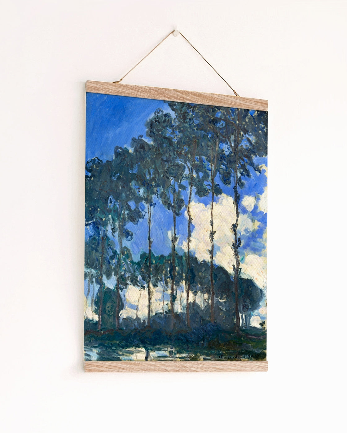 canvas
