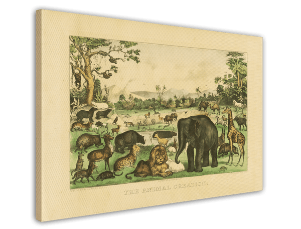 Currier and Ives - The Animal Creation