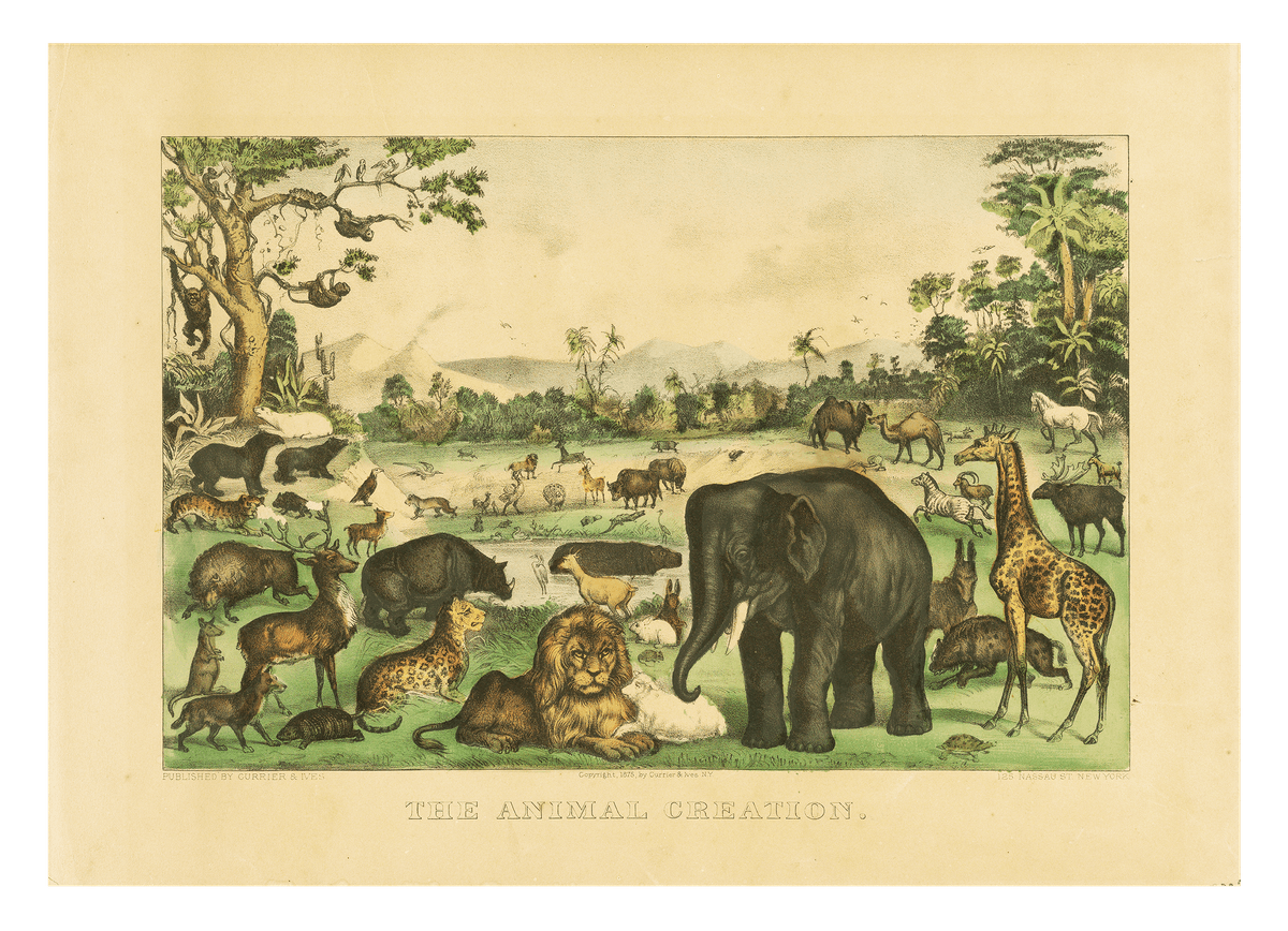 Currier and Ives - The Animal Creation