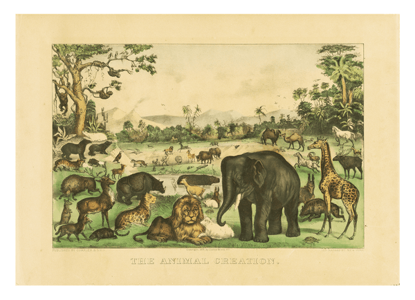 Currier and Ives - The Animal Creation