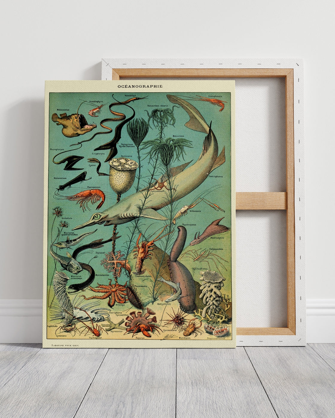 stretched-canvas