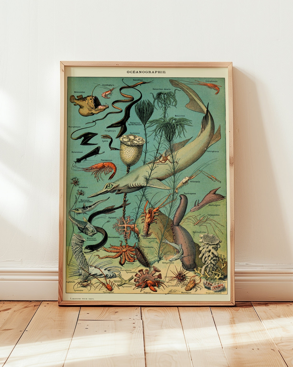 poster