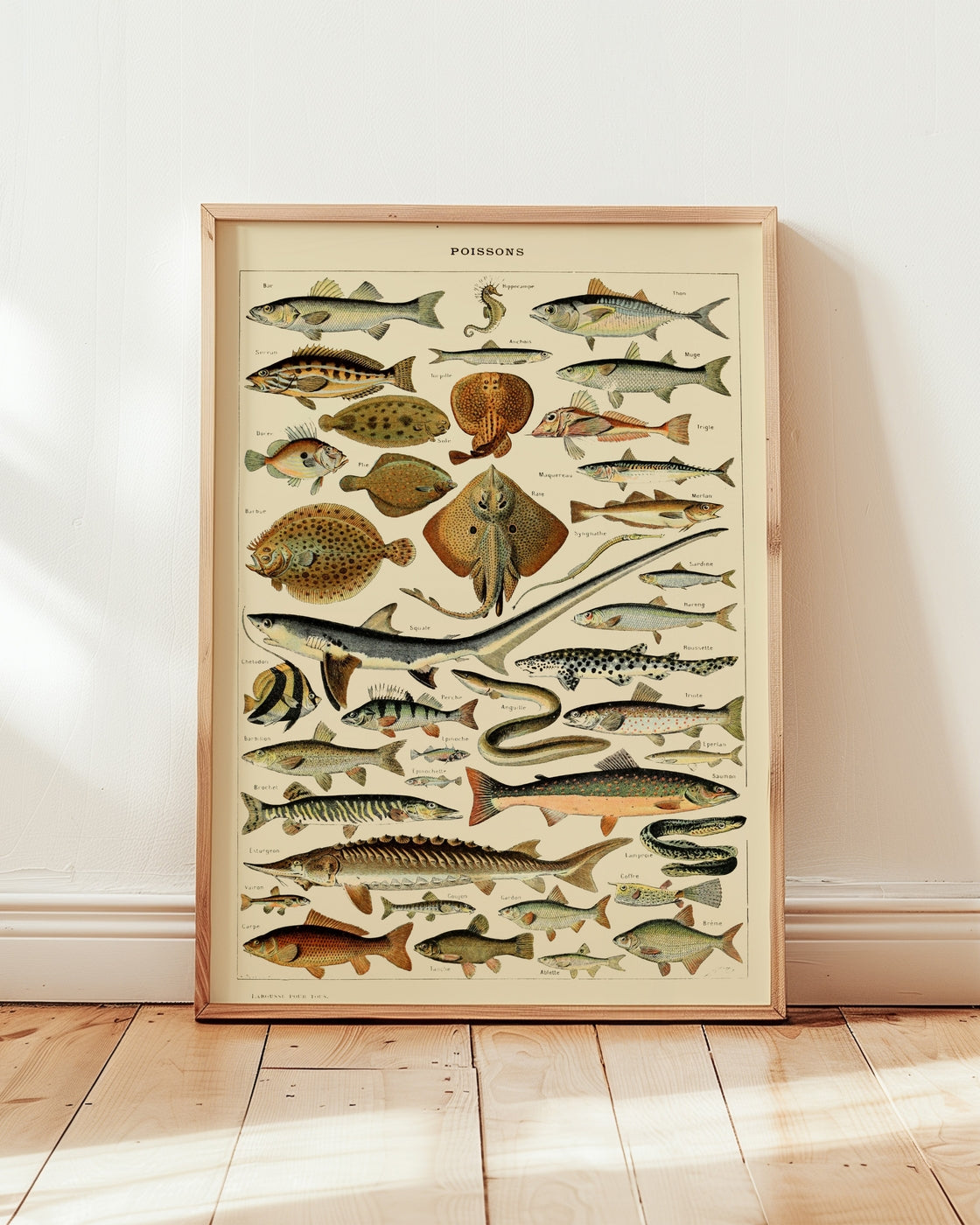 poster
