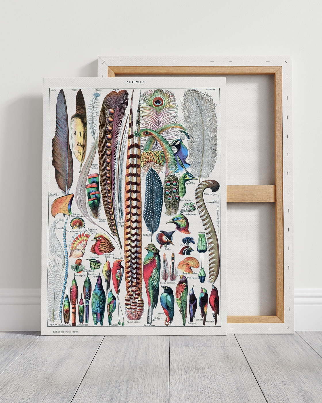 stretched-canvas
