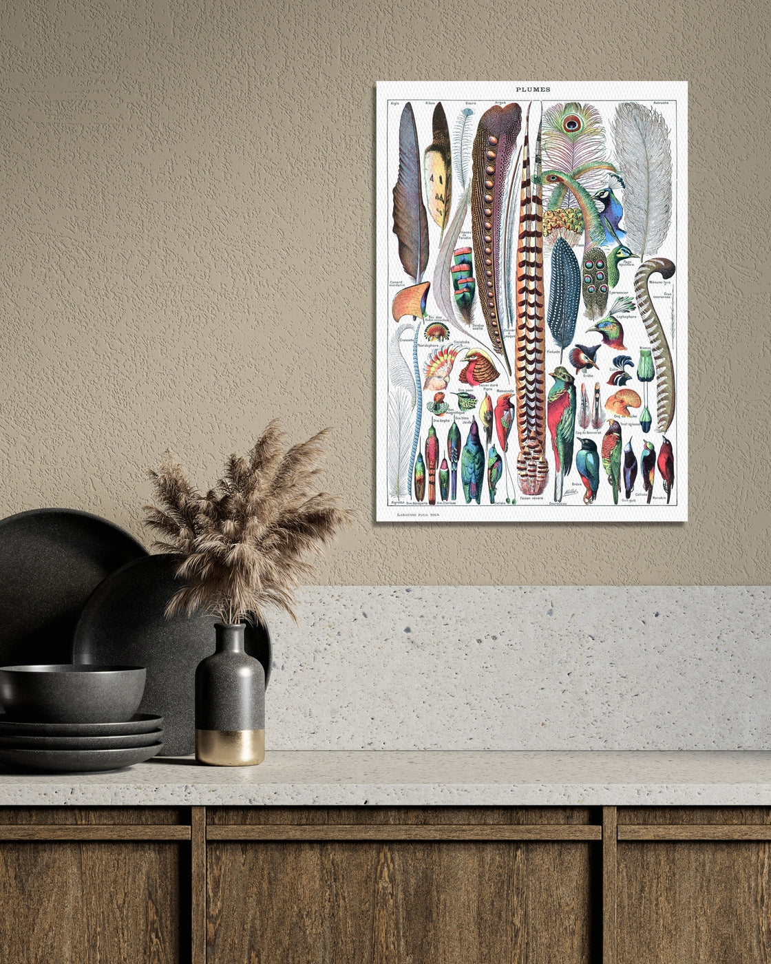 stretched-canvas