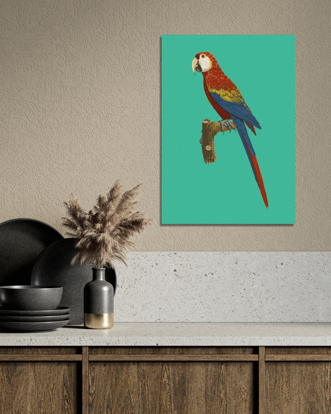 stretched-canvas