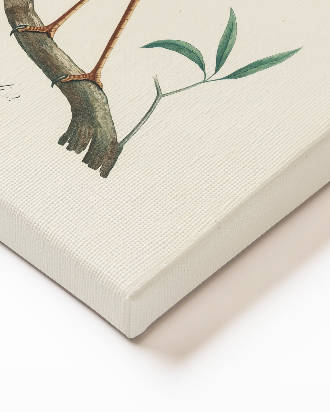 stretched-canvas