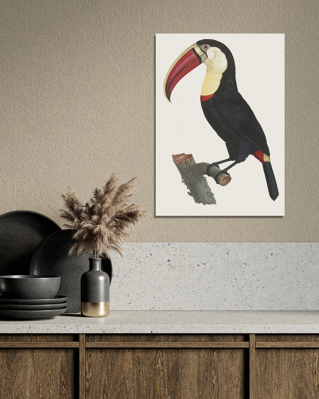 stretched-canvas