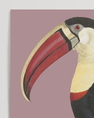 After Hover: François Levaillant - Toucan on a purple background