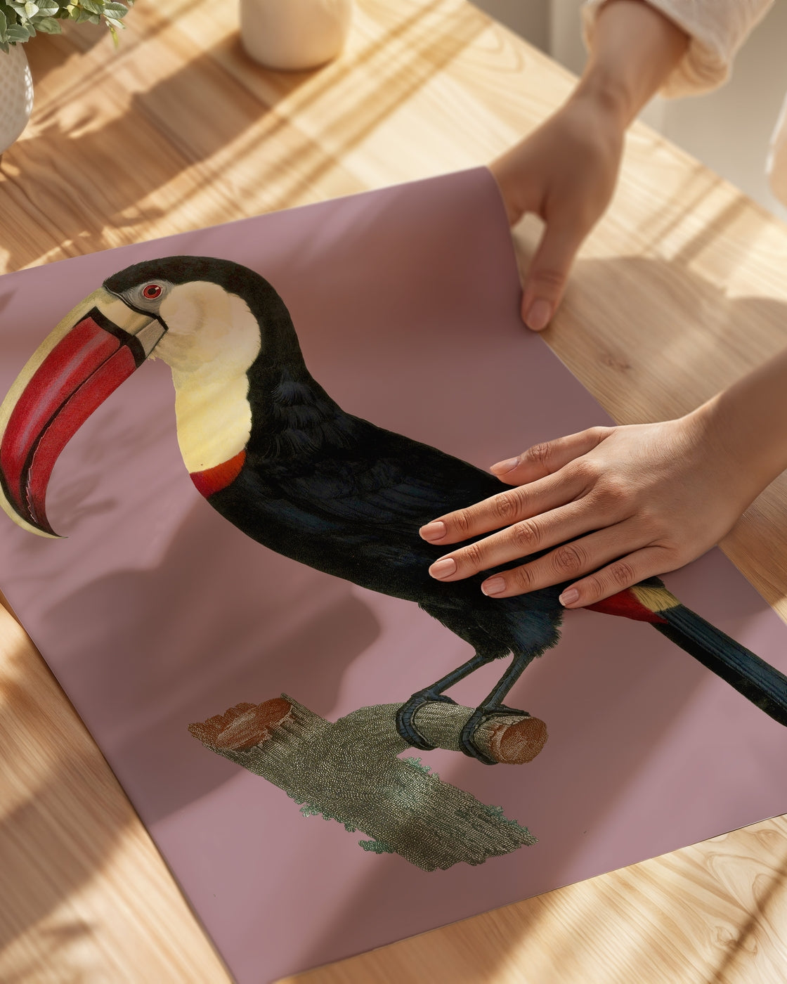 poster