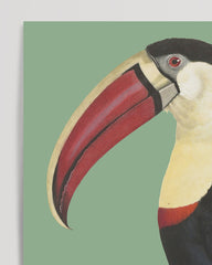 After Hover: François Levaillant - Toucan on a green background