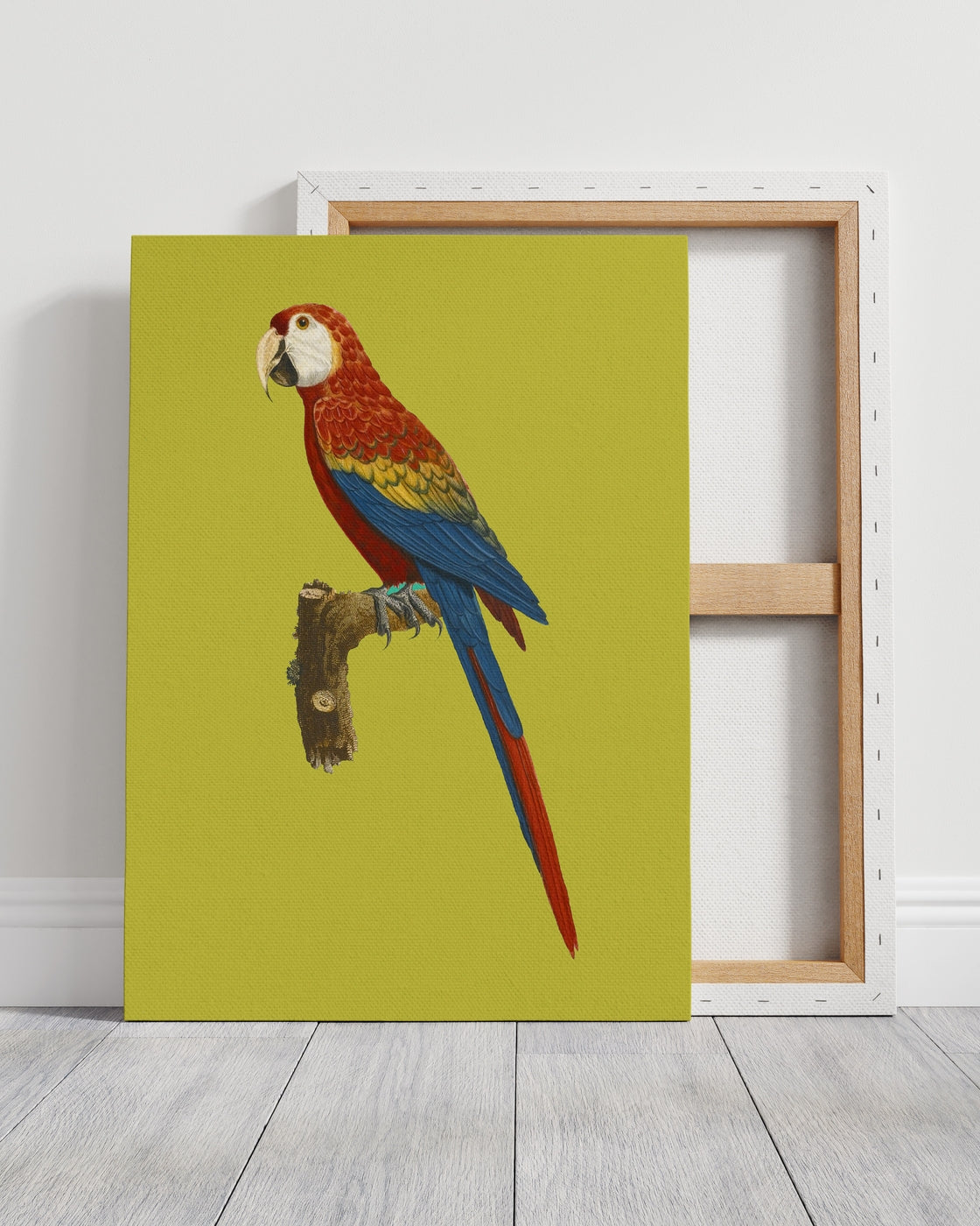 stretched-canvas